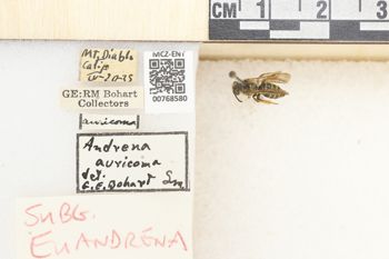 Media type: image;   Entomology 768580 Aspect: Labels